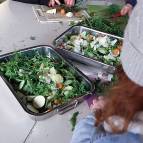 30. November: Heute schnippeln wir kunterbuntes Gemüse und Obst für die Meerschweinchen. (Foto: Hellas Adlung)