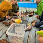 16. Oktober - FiBS-Herbstaktion (Foto: Fabian Wilke)