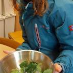 16. Oktober - FiBS-Herbstaktion (Foto: Hellas Adlung)
