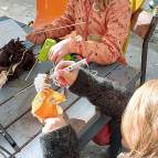 17. Oktober - FiBS-Herbstaktion (Foto: Hellas Adlung)