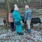 18.1.: Na, Mimi, Brownie, Sunny und Stick, wie geht es euch im Schnee? (Foto: Hellas Adlung)