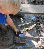 2. Juli: Projektwoche der Grundschule Melverode. Eine Wasserstadt mit Bootsanleger und Booten entsteht im Wald an den Staudämmen!