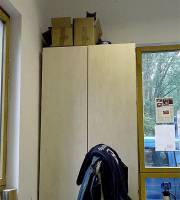 13. Juli: Suchbild: wo ist die Katze?