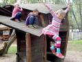 4. Oktober: Der mutige Sprung vom Tierspielhaus. (Foto: Evelyn Simson)