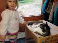 13. Oktober: Was machdt die Katze im Karton. (Foto: Evelyn Simson)